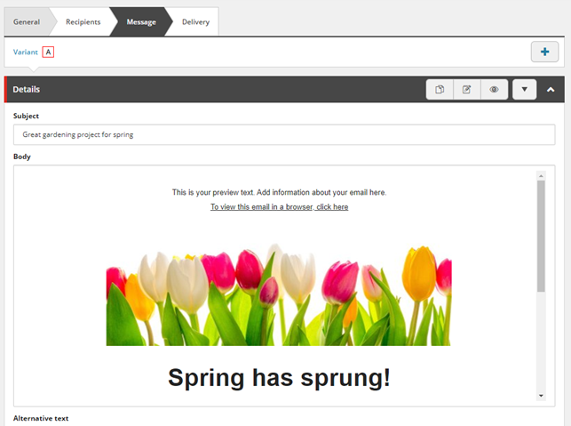 Email Experience Manager Message tab showing an example.