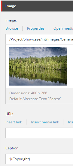A content token for the image caption