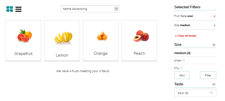 Aggregated Facet Filter results
