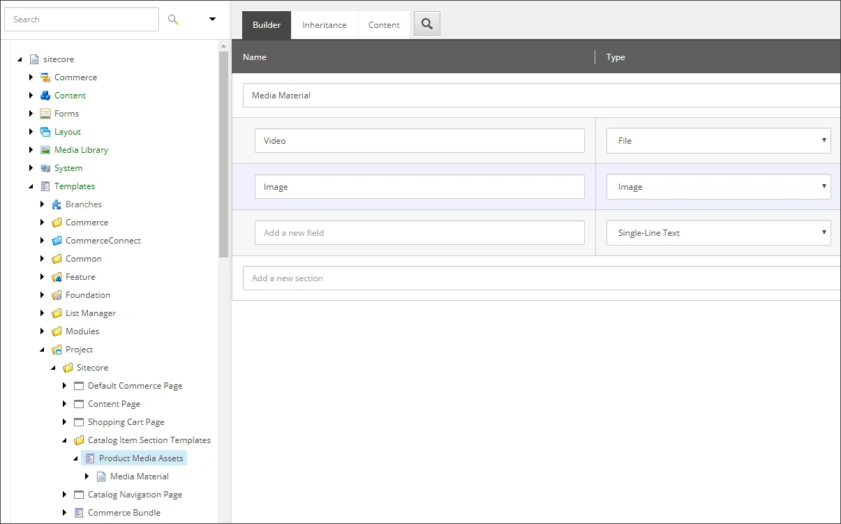 Builder tab showing the new fields.