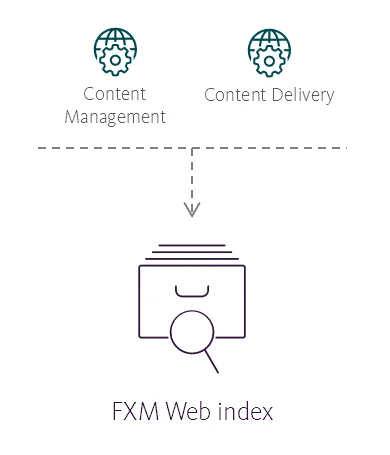 Illustration showing the FXM Web index's place in the Sitecore reference structure.
