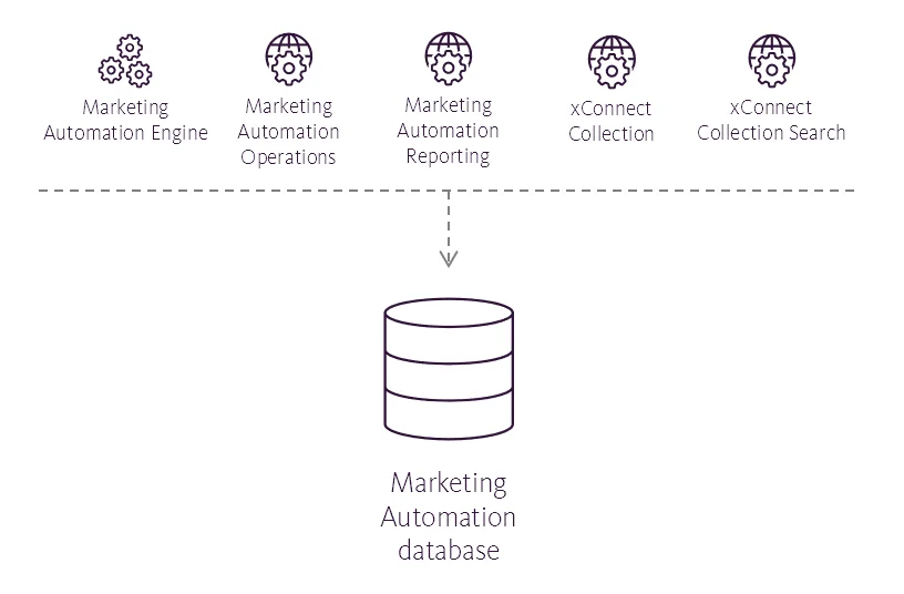 Illustration showing the Marketing Automation database's place in the Sitecore reference structure.