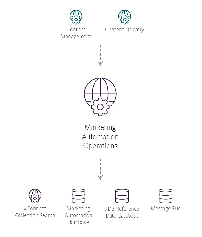 Illustration showing the Marketing Automation Operations service's place in the Sitecore reference structure.