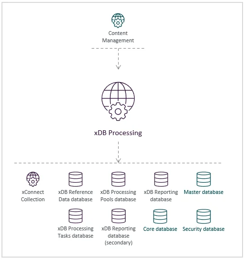 Illustration showing the xDB Processing role's place in the Sitecore reference structure.