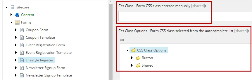 CSS class fields on the Content tab CSS class fields on the Content tab