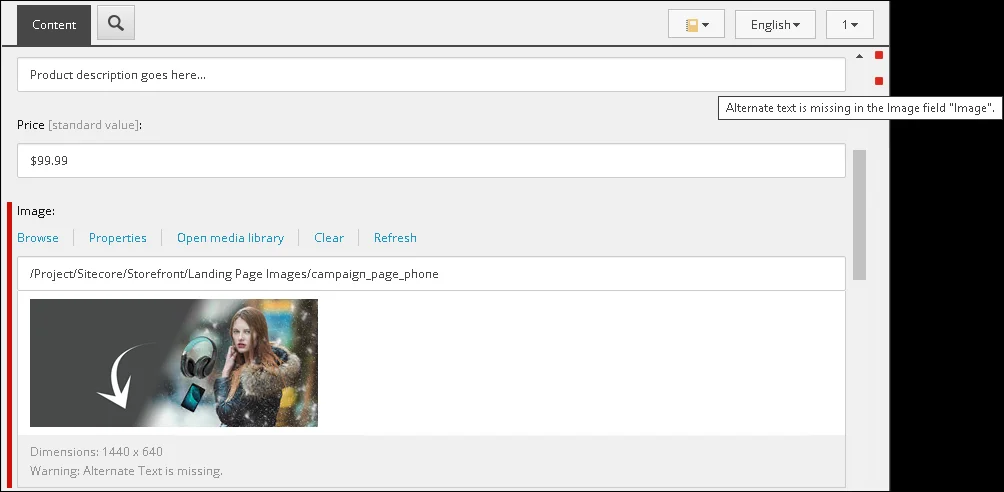 Example of field validation rule flag in the user interface.