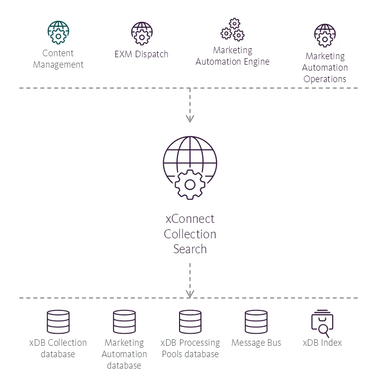 Illustration showing the xConnect Collection Search service's place in the Sitecore reference structure.