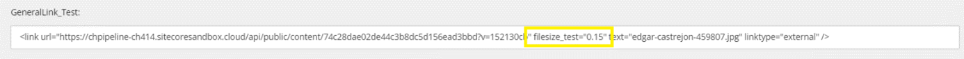 GeneralLink_Test field showing public link with additional attributes included. GeneralLink_Test field showing public link with additional attributes included.