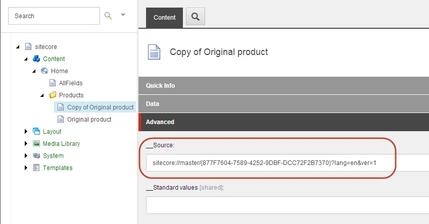 The Advanced section on an item