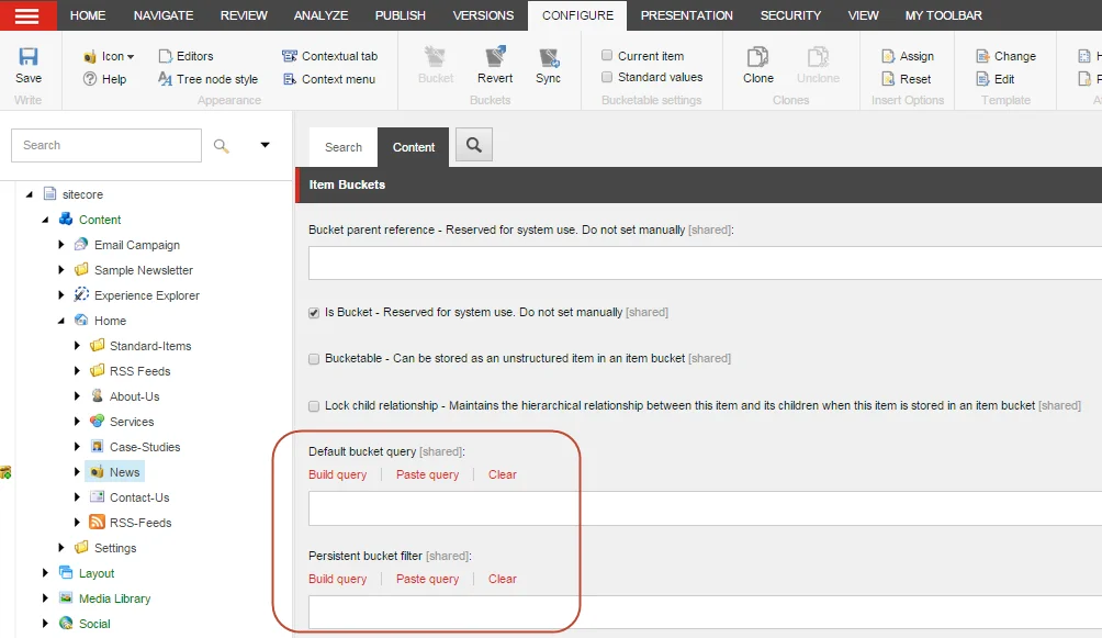The Default Bucket Query field and the Persistent Bucket Filter field The Default Bucket Query field and the Persistent Bucket Filter field