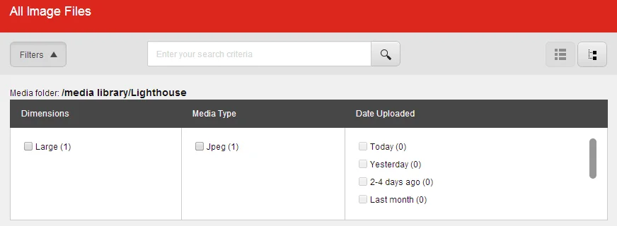 Filter options in the Select Media dialog box