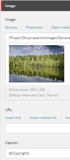 A content token for the image caption